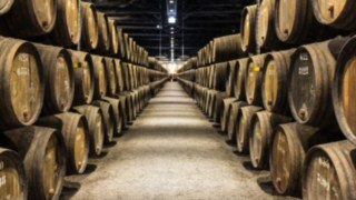 Explosion-proof trucks from Linde are ideally suited for use in hazardous zones in the food and beverage industry. Beverage industry environment with explosion risk